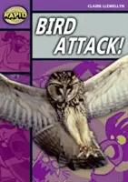 Lecture rapide : Bird Attack ! (Étape 1, Niveau B) - Rapid Reading: Bird Attack! (Stage 1, Level B)