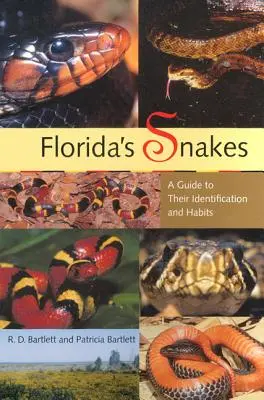 Les serpents de Floride : Les serpents de Floride : un guide pour leur identification et leurs habitudes - Florida's Snakes: A Guide to Their Identification and Habits