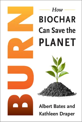 Brûler : une nouvelle économie du carbone pour mettre fin à la crise climatique - Burn: Igniting a New Carbon Drawdown Economy to End the Climate Crisis