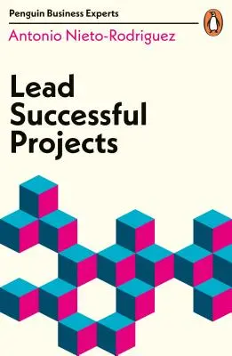 Mener des projets réussis - Lead Successful Projects