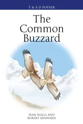 La buse commune - The Common Buzzard