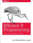 Programmation efficace en R : Un guide pratique pour une programmation plus intelligente - Efficient R Programming: A Practical Guide to Smarter Programming