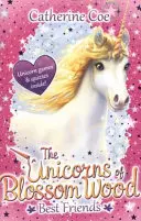 Les licornes du bois de fleurs : Les meilleurs amis - Unicorns of Blossom Wood: Best Friends