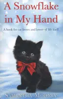 Un flocon de neige dans ma main - Snowflake In My Hand