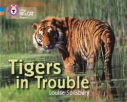 Les tigres en difficulté - Tigers in Trouble