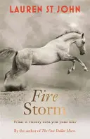 Le cheval à un dollar : Tempête de feu - Livre 3 - One Dollar Horse: Fire Storm - Book 3