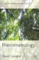 La phénoménologie - Phenomenology