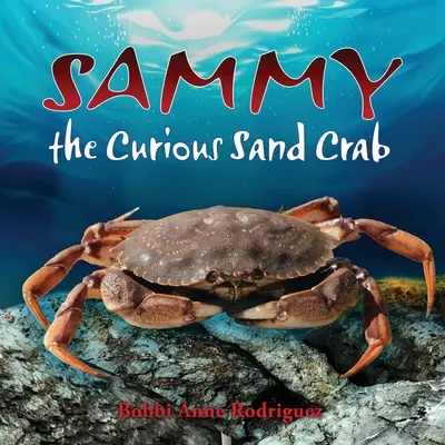 Sammy le curieux crabe des sables - Sammy the Curious Sand Crab