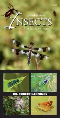 Guide de terrain pour les insectes du nord-ouest du Pacifique - A Field Guide to Insects of the Pacific Northwest