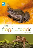 Rspb Spotlight Grenouilles et crapauds - Rspb Spotlight Frogs and Toads