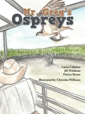 Les balbuzards de M. Greg - Mr. Greg's Ospreys