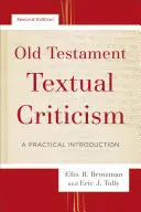 Critique textuelle de l'Ancien Testament : Une introduction pratique - Old Testament Textual Criticism: A Practical Introduction