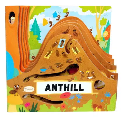 Fourmilière - Anthill