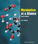 Le métabolisme en un coup d'œil - Metabolism at a Glance