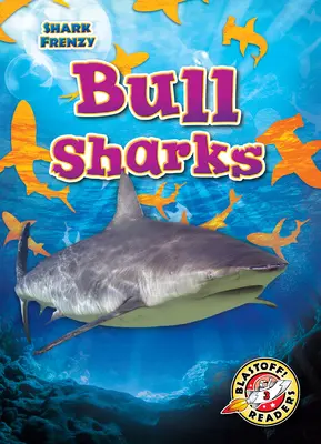 Requin taureau - Bull Sharks