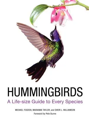Les colibris : Un guide grandeur nature pour chaque espèce - Hummingbirds: A Life-Size Guide to Every Species