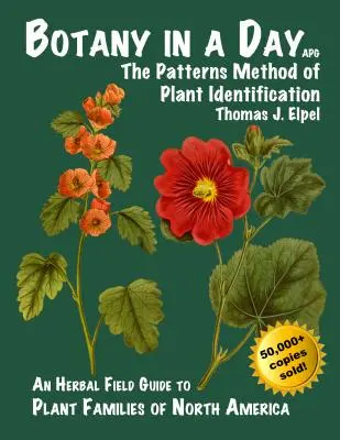 Botanique en un jour : La méthode Patterns d'identification des plantes - Botany in a Day: The Patterns Method of Plant Identification