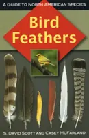 Plumes d'oiseaux : Un guide des espèces nord-américaines - Bird Feathers: A Guide to North American Species