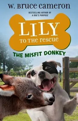 Lily à la rescousse : L'âne malchanceux - Lily to the Rescue: The Misfit Donkey