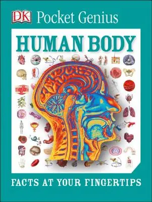 Pocket Genius : Le corps humain : Les faits au bout des doigts - Pocket Genius: Human Body: Facts at Your Fingertips