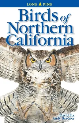 Les oiseaux de Californie du Nord - Birds of Northern California