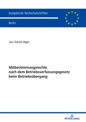 Droits de codétermination selon la loi sur la constitution des entreprises en cas de transfert d'entreprise : Une place pour 613a Bgb dans le système de la constitution des entreprises - Mitbestimmungsrechte Nach Dem Betriebsverfassungsgesetz Beim Betriebsuebergang: Eine Einordnung Von  613a Bgb in Das System Der Betriebsverfassung