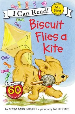 Biscuit fait voler un cerf-volant - Biscuit Flies a Kite