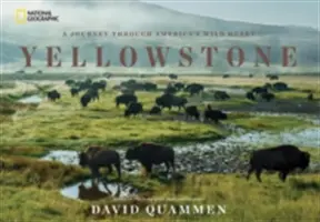 Yellowstone : Un voyage à travers le cœur sauvage de l'Amérique - Yellowstone: A Journey Through America's Wild Heart