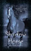 Cheval d'ombre - Shadow Horse