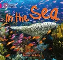 Dans la mer - In the Sea