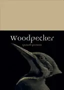 Le pic - Woodpecker