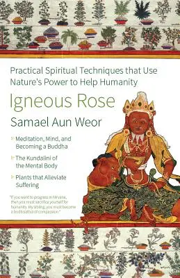 La Rose Ignée : La magie, l'énergie sexuelle et l'esprit du Bouddha intérieur - Igneous Rose: The Magic, Sexual Energy, and Mind of the Inner Buddha