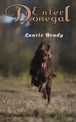 Entrer Donegal - Enter Donegal