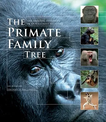 L'arbre généalogique des primates : L'étonnante diversité de nos plus proches parents - The Primate Family Tree: The Amazing Diversity of Our Closest Relatives