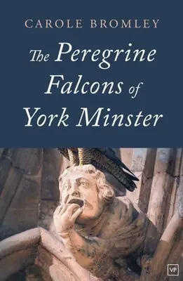 Les faucons pèlerins de York Minster - Peregrine Falcons of York Minster