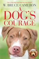 Le courage d'un chien - Dog's Courage