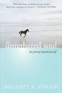 L'âme sans entraves : le voyage au-delà de soi - The Untethered Soul: The Journey Beyond Yourself