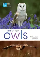 Rspb Plein feux sur les hiboux - Rspb Spotlight Owls