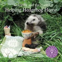 Aider le hérisson à rentrer chez lui - Helping Hedgehog Home