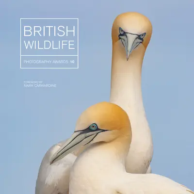 Prix britanniques de la photographie de la faune et de la flore 10 - British Wildlife Photography Awards 10