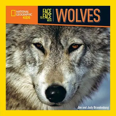 Face à face avec les loups - Face to Face with Wolves