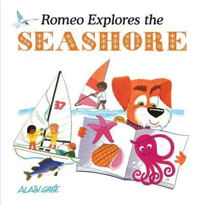 Roméo explore le bord de mer - Romeo Explores the Seashore