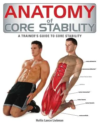 Anatomie de la stabilité du tronc : Guide de l'entraîneur pour la stabilité du tronc - Anatomy of Core Stability: A Trainer's Guide to Core Stability