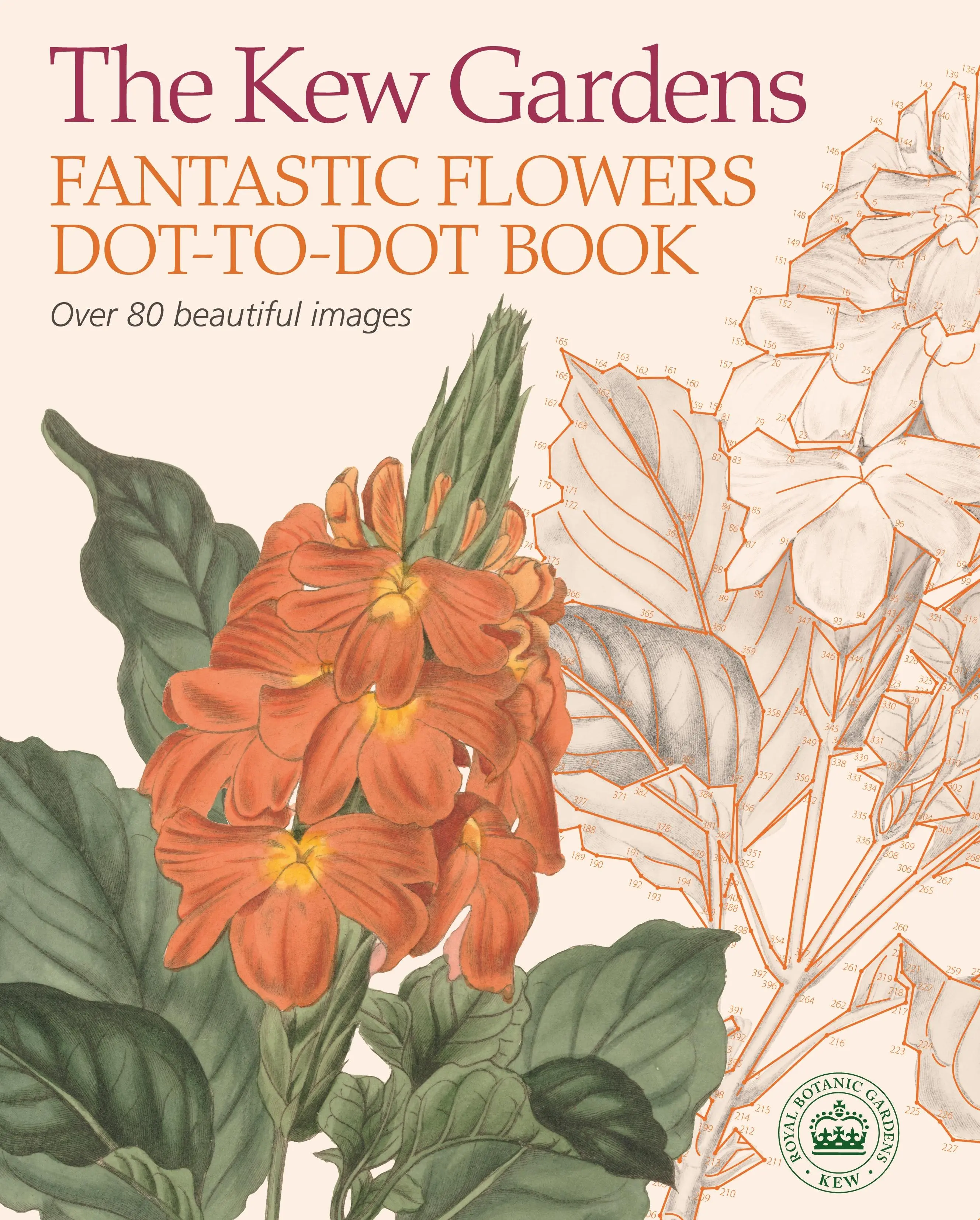 Livre à colorier Kew Gardens Fantastic Flowers - Kew Gardens Fantastic Flowers Dot-to-Dot Book