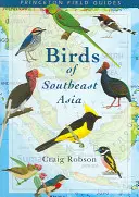 Oiseaux d'Asie du Sud-Est - Birds of Southeast Asia