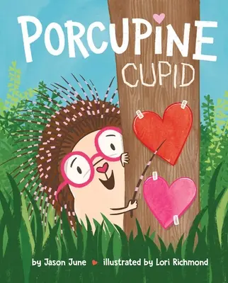 Cupidon porc-épic - Porcupine Cupid