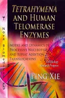 Enzymes Tetrahymena et télomérase humaine - Modèle et dynamique des translocations processives de nucléotides et d'additions de répétitions - Tetrahymena & Human Telomerase Enzymes - Model & Dynamics of Processive Nucleotide & Repeat Addition Translocations