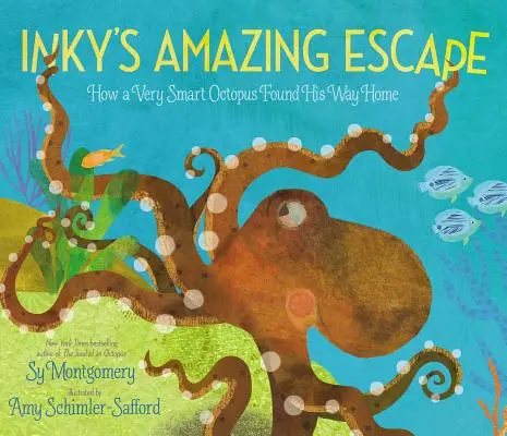 L'incroyable évasion d'Inky : comment un poulpe très intelligent a retrouvé le chemin de la maison - Inky's Amazing Escape: How a Very Smart Octopus Found His Way Home