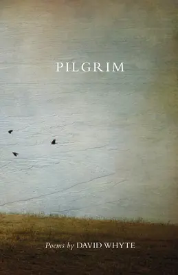 Pilgrim (révisé) (révisé) - Pilgrim (Revised) (Revised)