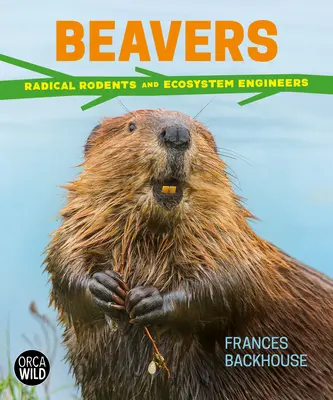 Castors : Rongeurs radicaux et ingénieurs de l'écosystème - Beavers: Radical Rodents and Ecosystem Engineers